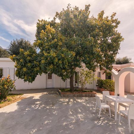 Casa Yucca Villa Forio di Ischia Dış mekan fotoğraf