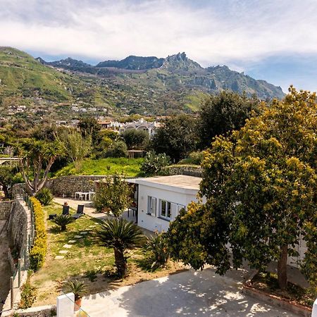 Casa Yucca Villa Forio di Ischia Dış mekan fotoğraf