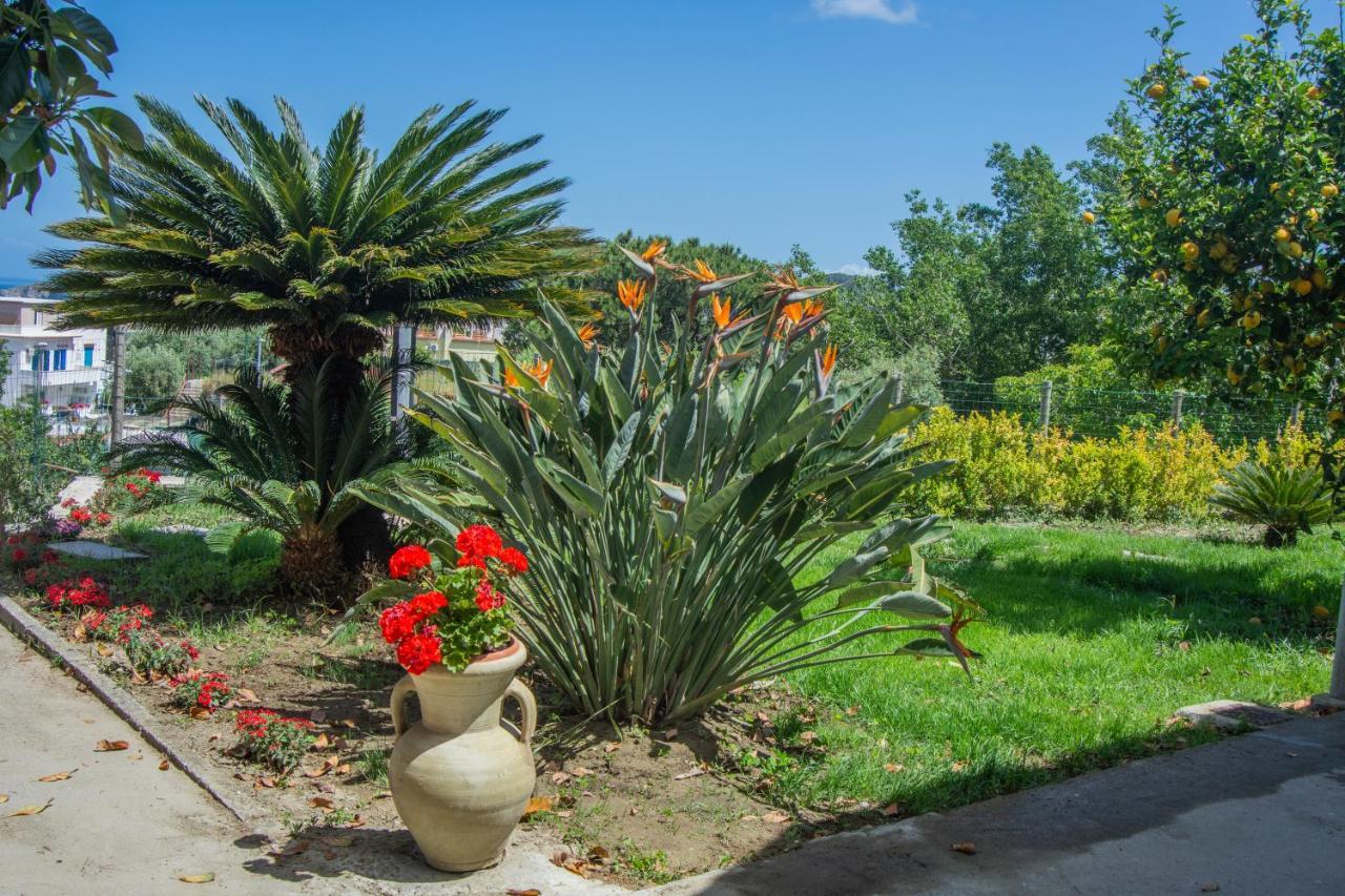Casa Yucca Villa Forio di Ischia Dış mekan fotoğraf