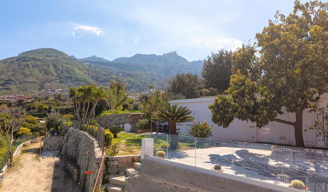 Casa Yucca Villa Forio di Ischia Dış mekan fotoğraf
