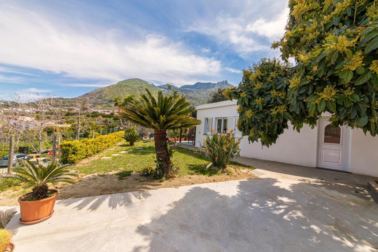 Casa Yucca Villa Forio di Ischia Dış mekan fotoğraf