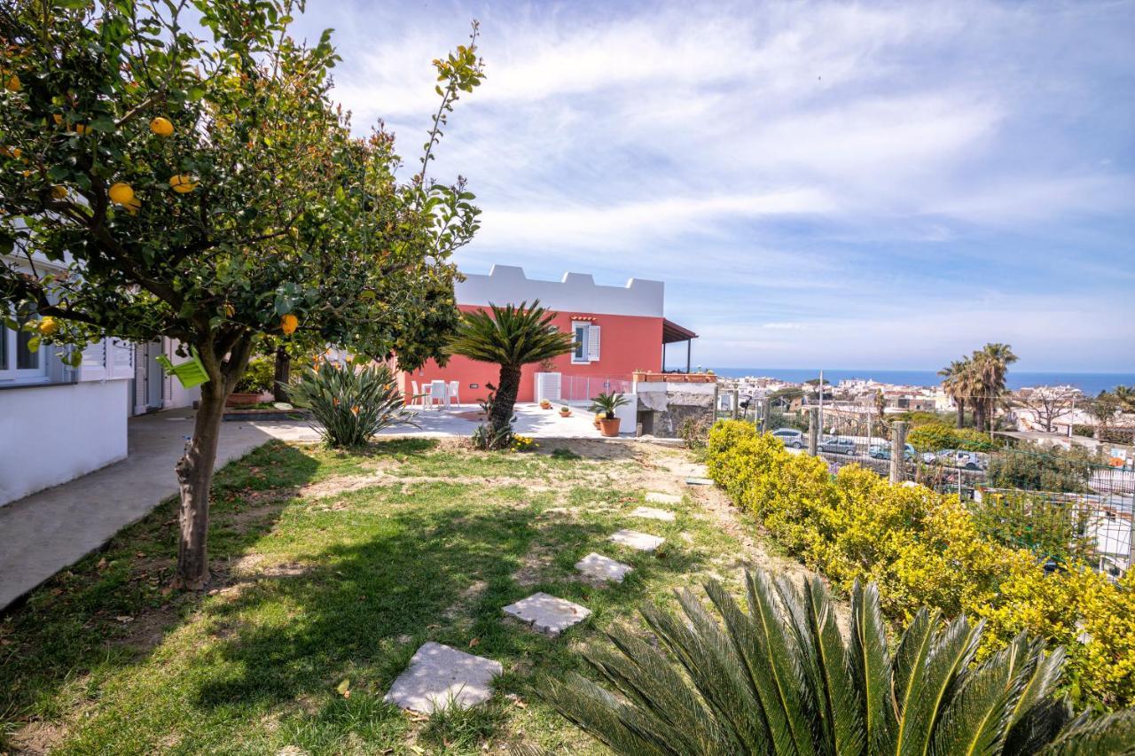 Casa Yucca Villa Forio di Ischia Dış mekan fotoğraf