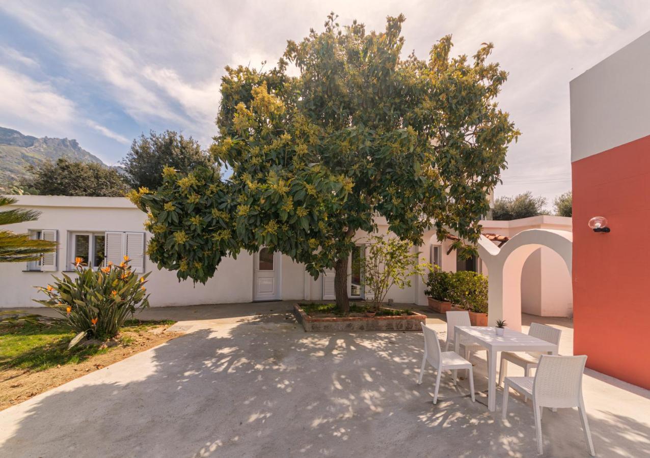 Casa Yucca Villa Forio di Ischia Dış mekan fotoğraf